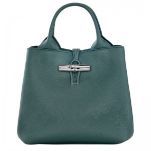 Blue Green Longchamp Le Roseau S Women Handbag | Indonesia-912IAVORD