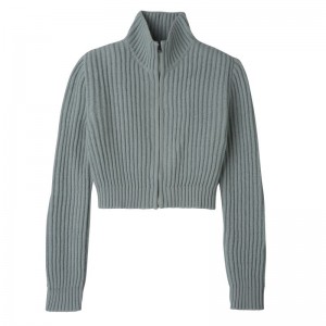 Blue Longchamp Zip Collar Short Women Cardigan | Indonesia-860YIDHCA