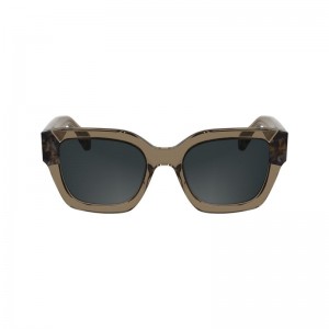 Brown Longchamp Acetate Women Sunglasses | Indonesia-162XKMOFT
