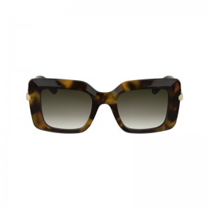 Brown / Green Longchamp Acetate Women Sunglasses | Indonesia-563MXILTA
