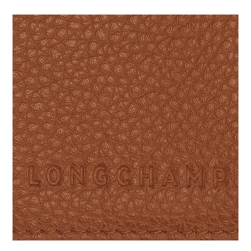 Brown Longchamp Le Foulonné Men Passport Holder | Indonesia-349MRPIAC