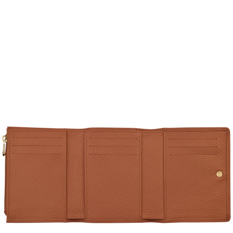 Brown Longchamp Le Foulonné Men Wallet | Indonesia-417JXZCTH