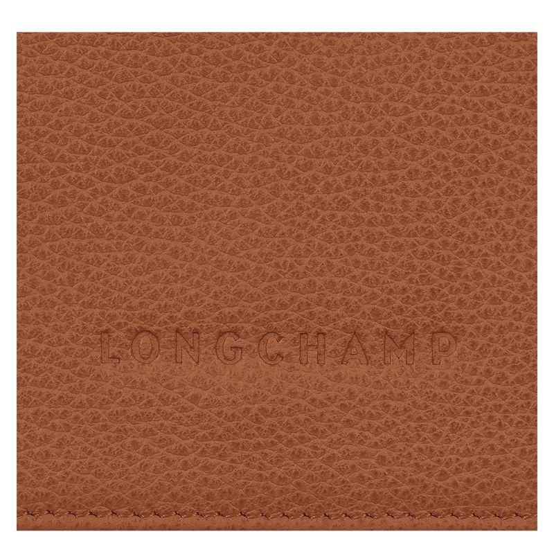 Brown Longchamp Le Foulonné Men Wallet | Indonesia-417JXZCTH